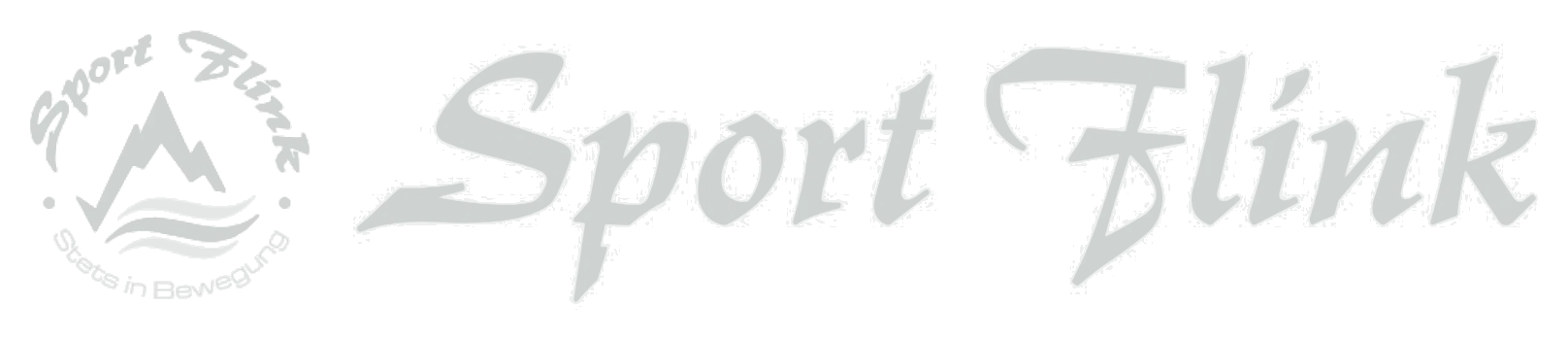 Logo Sport Flink
